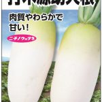 24120